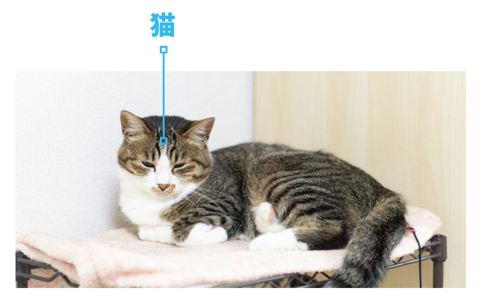 「猫」であるというデータをタグ付けされた画像