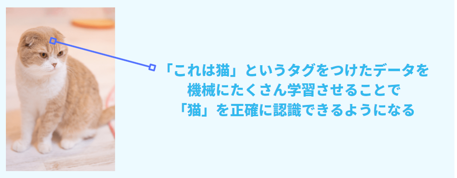 「これは猫だ」というタグをつけたデータ