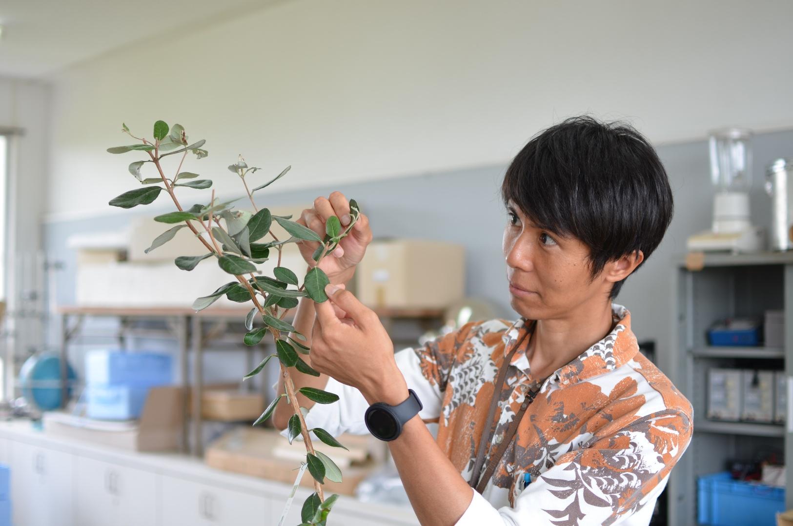 教職員の方のご感想